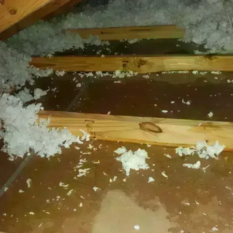 Attic Water Damage in Terrell County, GA