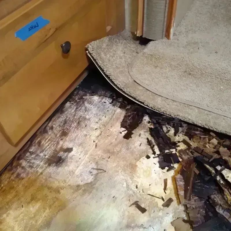 Wood Floor Water Damage in Terrell County, GA